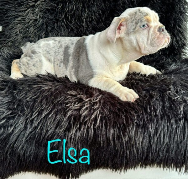 Elsa