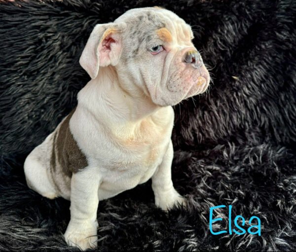 Elsa