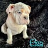 Elsa