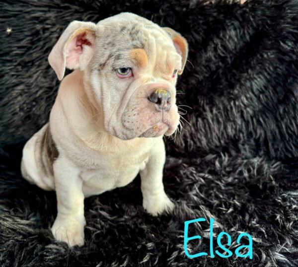 Elsa