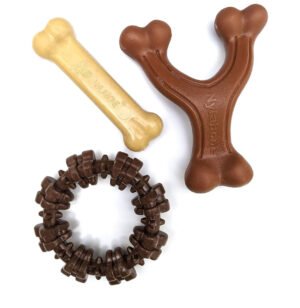 Nylabone Power Chew Textured Ring