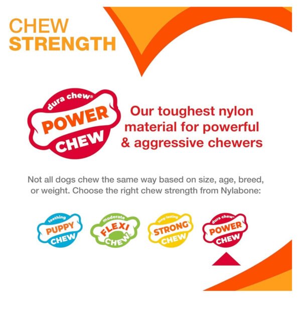 Nylabone Power Chew Textured Ring