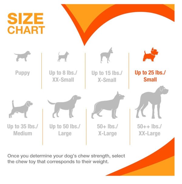 Nylabone Power Chew Textured Ring