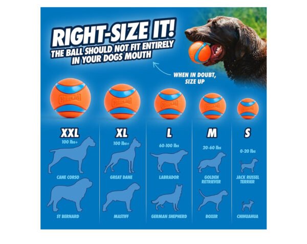 Chuckit! Ultra Ball
