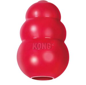 KONG Classic Dog Toy
