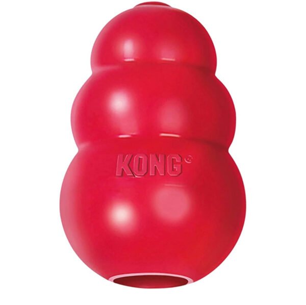 KONG Classic Dog Toy