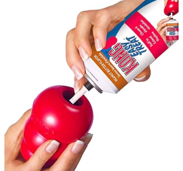 KONG Classic Dog Toy