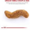 Royal Canin Breed Health Nutrition Bulldog Adult Dry Dog Food