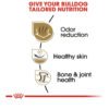 Royal Canin Breed Health Nutrition Bulldog Adult Dry Dog Food