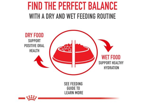 Royal Canin Breed Health Nutrition Bulldog Adult Dry Dog Food