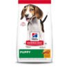 Hill’s Science Diet Adult Sensitive Stomach & Skin Dry Dog Food