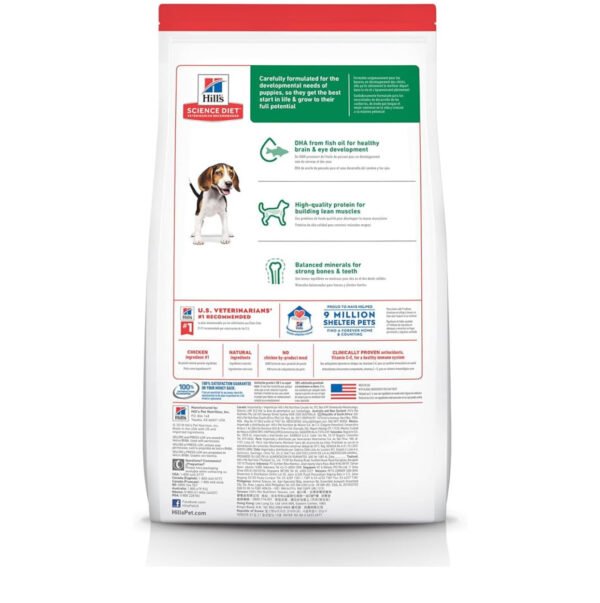 Hill’s Science Diet Adult Sensitive Stomach & Skin Dry Dog Food