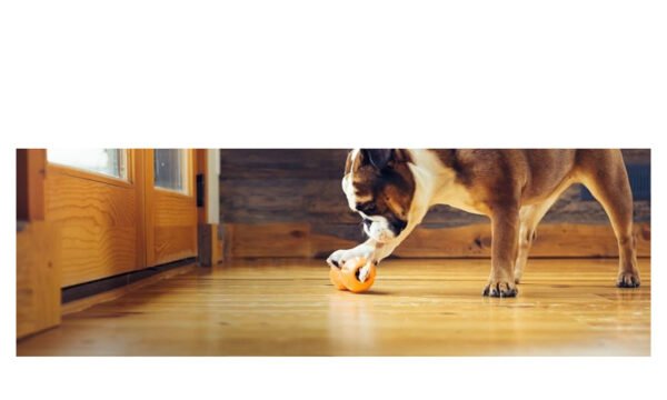 West Paw Zogoflex Qwizl Treat Toy