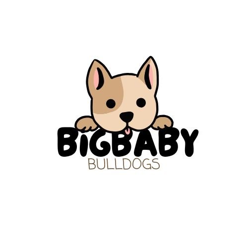 bigbabybulldogs.com